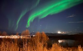 Aurora North Tromsø