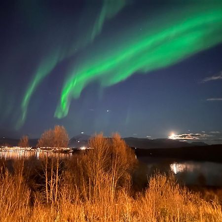 Aurora North Villa Tromsø Buitenkant foto