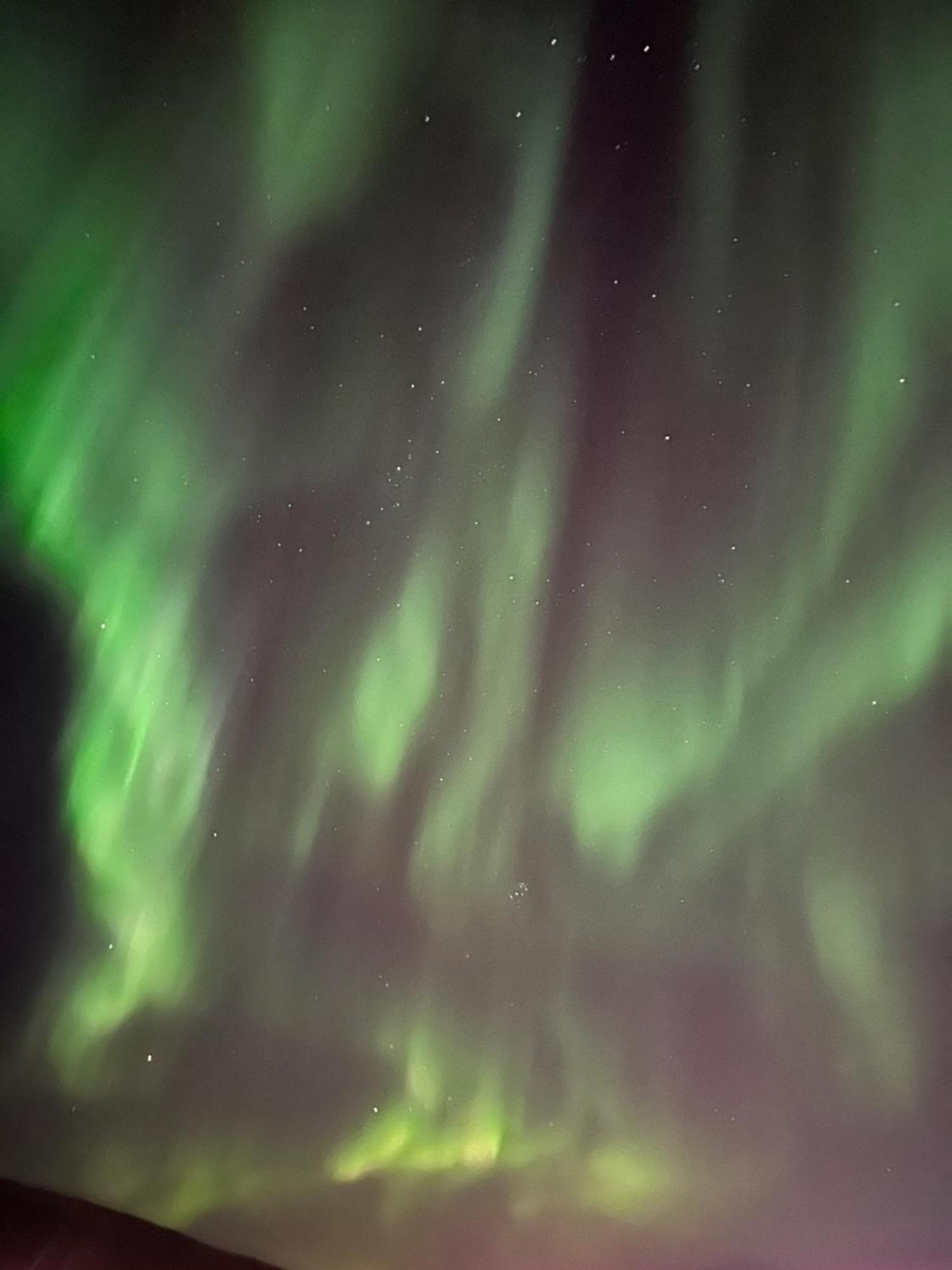 Aurora North Villa Tromsø Buitenkant foto